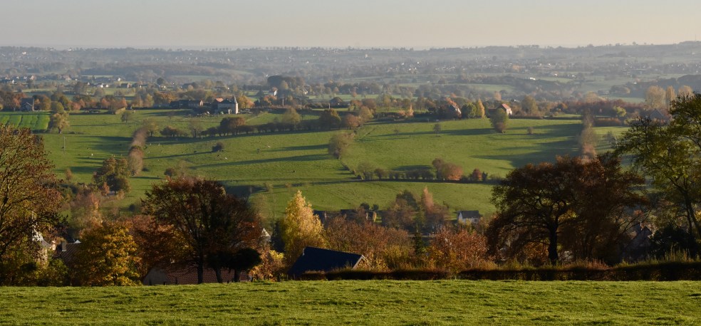 Modification de la règle du comblement : 8.000 hectares lâchés dans la nature&nbsp;?